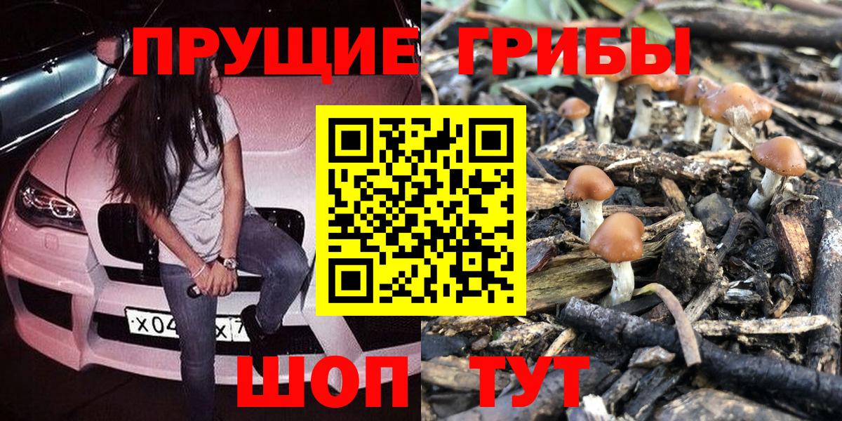 Псилоцибиновые грибы мухоморы  Вход с VPN  Псилоцибиновые грибы Psilocybine cubensis  что такое наркотик  Ливны 