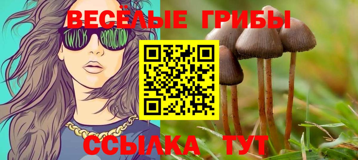 Галлюциногенные грибы GOLDEN TEACHER Ливны