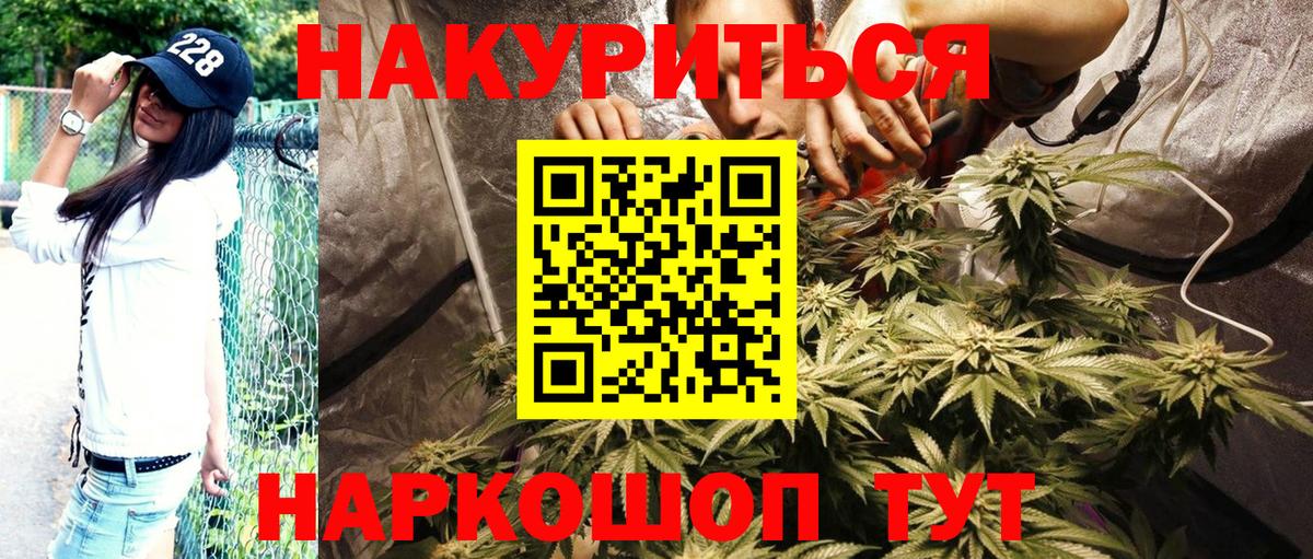 Канабис Amnesia  Канабис планчик  Конопля планчик  Вход с VPN  Ливны  Каннабис White Widow 